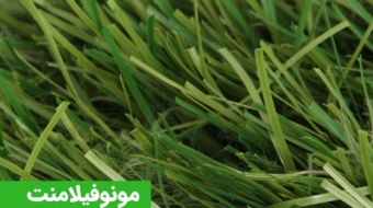 WhatsApp Image 2021-06-23 at 09.19.43 (2)