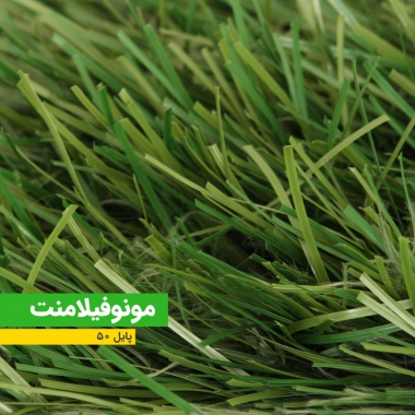 WhatsApp Image 2021-06-23 at 09.19.43 (2)