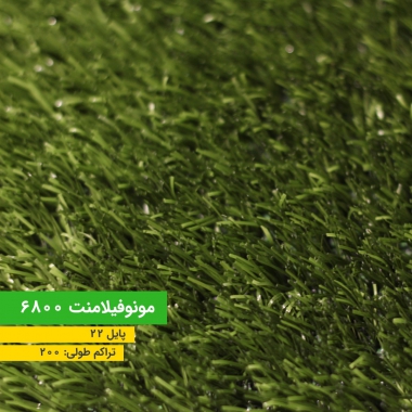 WhatsApp Image 2021-06-23 at 09.19.44 (2)