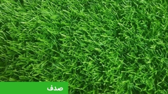 WhatsApp Image 2021-06-23 at 09.19.45 (1)