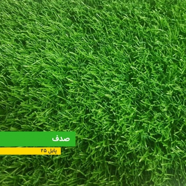 WhatsApp Image 2021-06-23 at 09.19.45 (1)